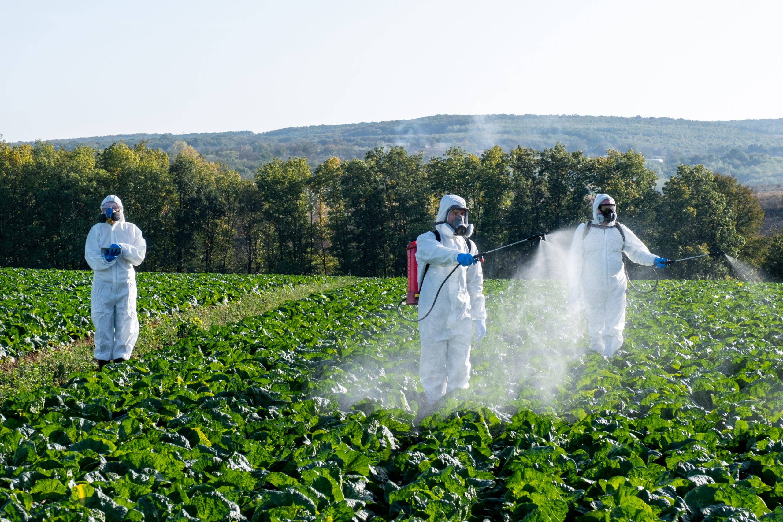 Manufacture of herbicides, insecticides, fungicides, soil fumigants etc.